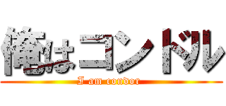 俺はコンドル (I am condor )