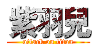 紫羽兒 (attack on titan)