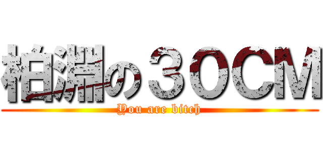 柏淵の３０ＣＭ (You are bitch)