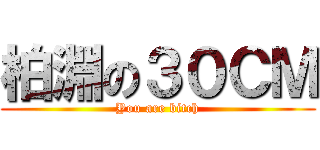 柏淵の３０ＣＭ (You are bitch)