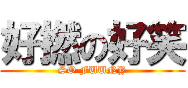 好撚の好笑 (SO FUUNY)