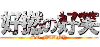 好撚の好笑 (SO FUUNY)
