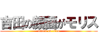 吉田の顔面がモリス (attack on titan)