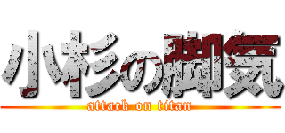 小杉の脚気 (attack on titan)