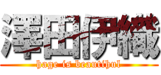 澤田伊織 (hage is beautihul)