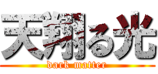 天翔る光 (dark matter)
