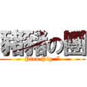 豬豬の團 (Pink Pig :*)