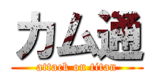 カム通 (attack on titan)