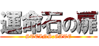 運命石の扉 (STEINS;GATE)