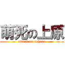 萌死の上原 (attack on uehara)