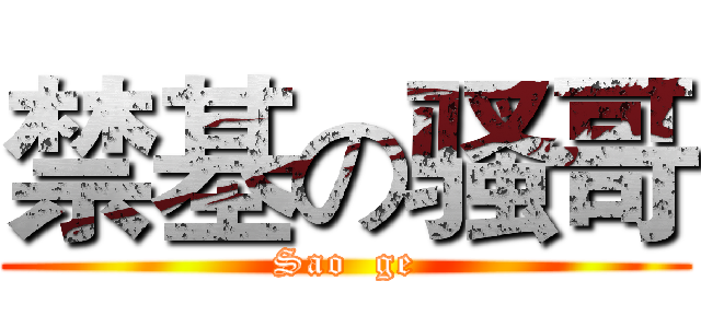 禁基の骚哥 (Sao  ge)