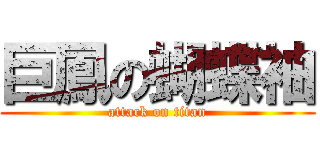 巨鳳の蝴蝶袖 (attack on titan)