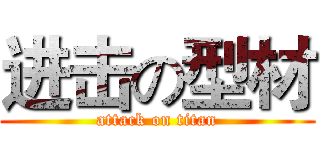 进击の型材 (attack on titan)
