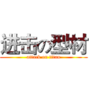 进击の型材 (attack on titan)