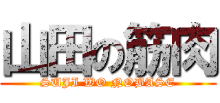 山田の筋肉 (SUJI WO NOBASE)