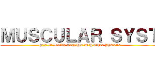 ＭＵＳＣＵＬＡＲ ＳＹＳＴ (How It Works Together with Other Systems)