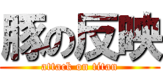 豚の反映 (attack on titan)