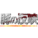 豚の反映 (attack on titan)