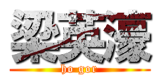 梁英濠 (ho gor)