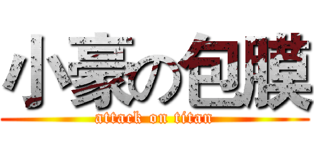 小豪の包膜 (attack on titan)