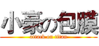小豪の包膜 (attack on titan)