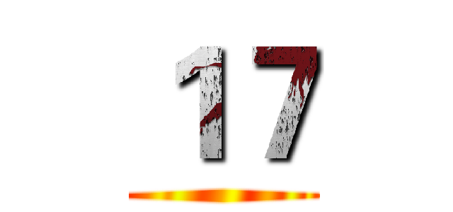 １７ ()