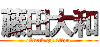 藤田大和 (attack on titan)