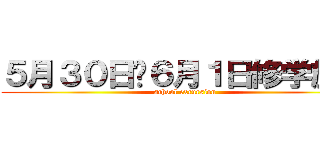 ５月３０日〜６月１日修学旅行 (school excursion)