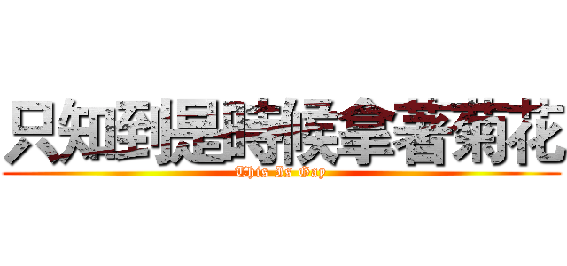 只知到是時候拿著菊花 (This Is Gay)
