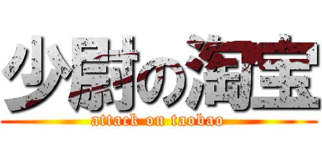 少尉の淘宝 (attack on taobao)
