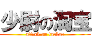 少尉の淘宝 (attack on taobao)