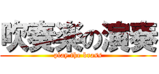 吹奏楽の演奏 (play the brass)