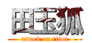 田玉狐 (attack on titan)