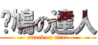 戇鳩の達人 (attack on titan)