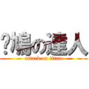 戇鳩の達人 (attack on titan)