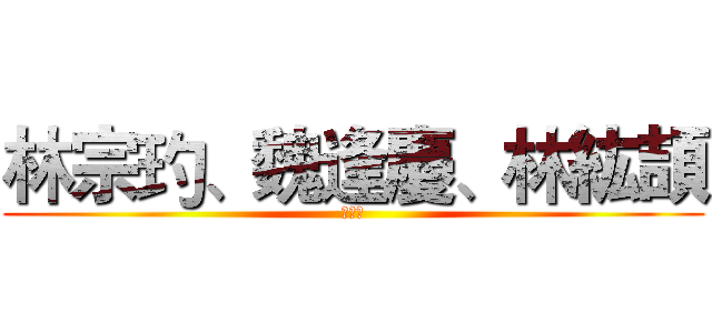 林宗玓、魏逢慶、林紘頡 (製作組)