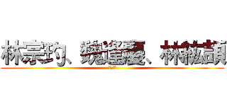 林宗玓、魏逢慶、林紘頡 (製作組)