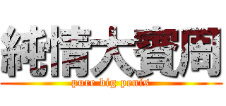 純情大賓周 (pure big penis)