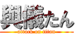 與儀たん (attack on titan)