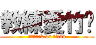 教練愛竹婷 (attack on titan)