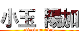 小玉 陽加 (attack on titan)