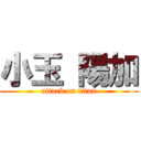 小玉 陽加 (attack on titan)