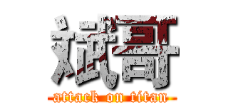 斌哥 (attack on titan)