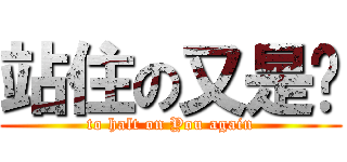 站住の又是你 (to halt on You again)