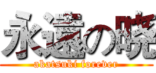 永遠の晓 (akatsuki forever)