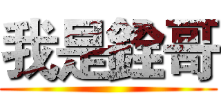 我是銓哥 ()