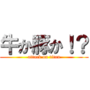 牛か豚か！？ (attack on titan)