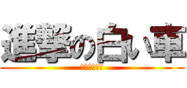 進撃の白い車 (南台湾へ行く)