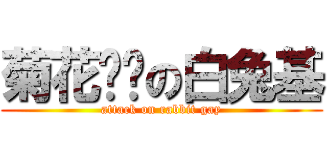 菊花啪啦の白兔基 (attack on rabbit gay)