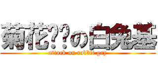 菊花啪啦の白兔基 (attack on rabbit gay)